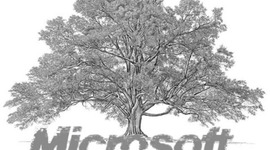 Timeline: Cronologia