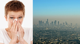 Timeline: Enfermedades provocadas por factores externos.