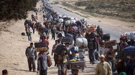 Timeline: Declaración Universal de los Derechos Humanos