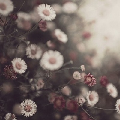 Timeline: The Pierre Nation