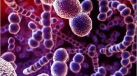 Timeline: Timeline of cell and scientists