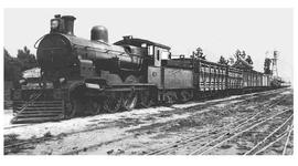 Timeline: La próxima estación