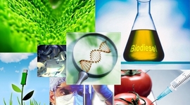 Timeline: Linea del tiempo de Biotecnología