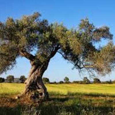 Timeline: the chemistry