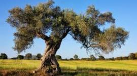 Timeline: the chemistry