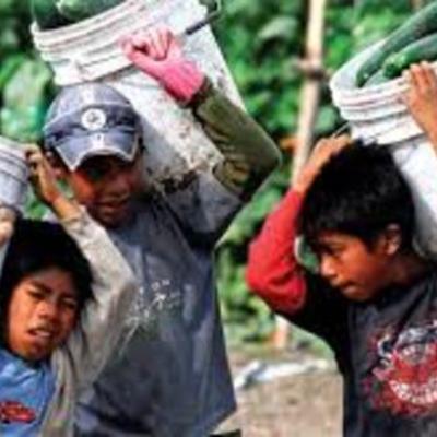 Timeline: Trabajo Infantil