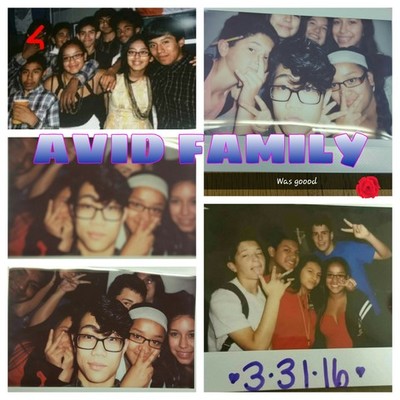 Timeline: avid final