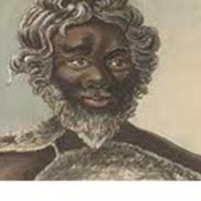 Timeline: Windradyne