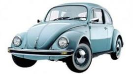 Timeline: Historia del Vochito