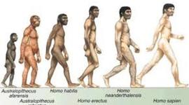 Timeline: La evolución del hombre