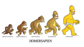 Timeline: A11 Línea del Tiempo