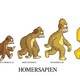 Evolucion social