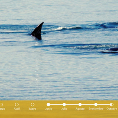 Timeline: viaje a Puerto Madryn