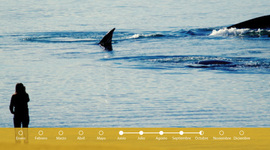 Timeline: viaje a Puerto Madryn