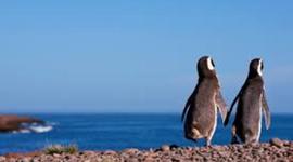Timeline: viaje a Puerto Madryn