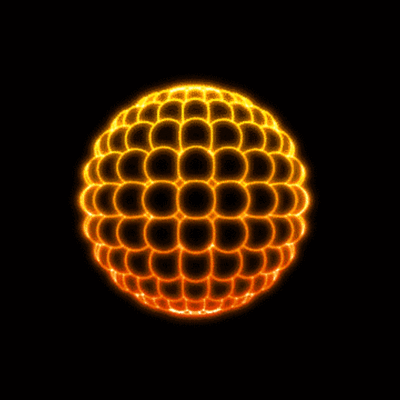 Timeline: Manya Aravelli