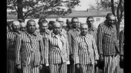 Timeline: World War II, Jews (Febuary 5th-March 18th 1943)