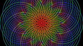 Timeline: Durva Patel