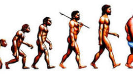 Timeline: LA EVOLUCIÓN DE NUESTRA ESPECIE :)