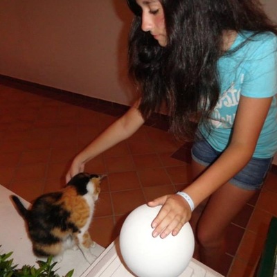 Timeline: APUSH Personal and Historical Timeline