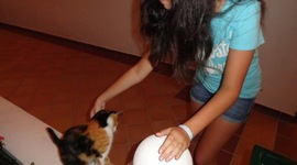 Timeline: APUSH Personal and Historical Timeline