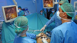 Timeline: EVOLUCIÓN DE LA ENDOSCOPIA QUIRÚRGICA