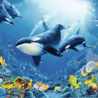 Timeline: Книги о подводном мире