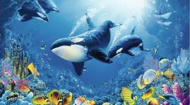 Timeline: Книги о подводном мире