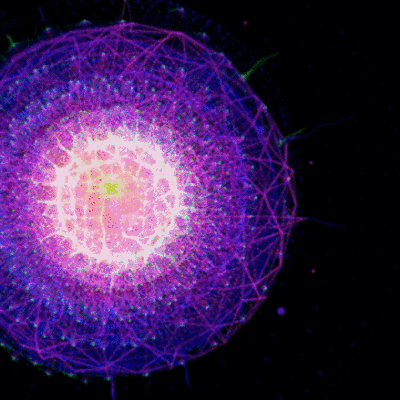 Timeline: Monica Singh =)