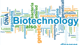 Timeline: The history of Biotechnology (Valentina Modolo)