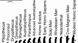 Timeline: La evolución de la especie.