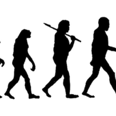 Timeline: Evolución humana