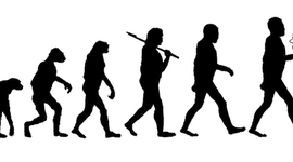 Timeline: Evolución humana