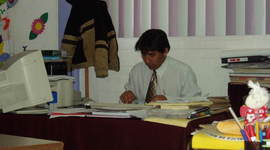 Timeline: Biografía escolar