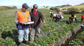 Timeline: Evolución Normativa del Desarrollo Rural en Colombia