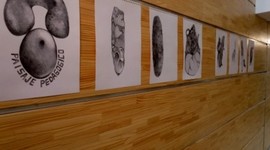 Timeline: Corrientes Pedagógicas Siglo XX