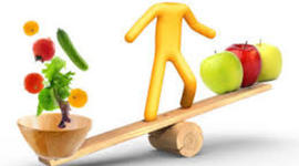 Timeline: Trabajo de Nutrición