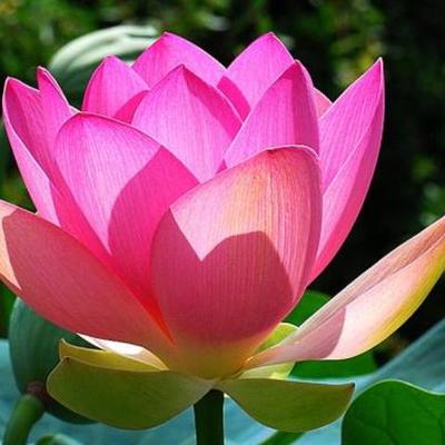 Timeline: ראשי ממשלת ישראל