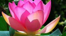 Timeline: ראשי ממשלת ישראל