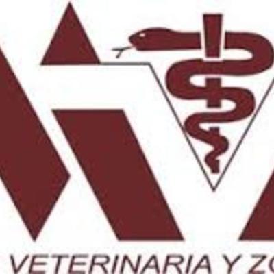 Timeline: Historia de la veterinaria  Alejandro Gonzalez