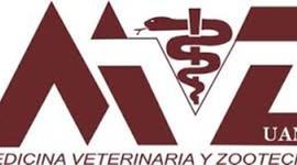 Timeline: Historia de la veterinaria  Alejandro Gonzalez