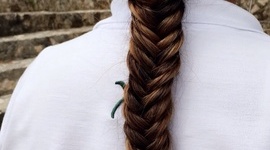 Timeline: Línea del tiempo Mariana Orozco