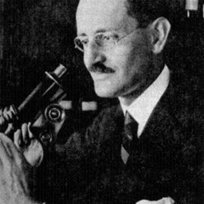 Timeline: Andanzas por el mundo, sentimientos y descubrimientos de Pío.