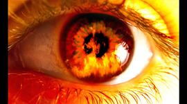 Timeline: Fahrenheit 451:new technologies since 1953