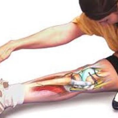 Timeline: LA FLEXIBILIDAD