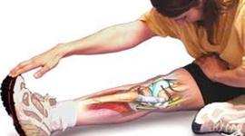 Timeline: LA FLEXIBILIDAD