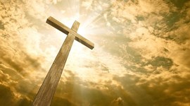 Timeline: Linea del tiempo