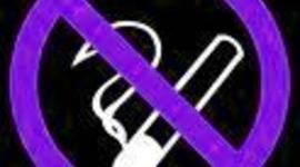 Timeline: Brandon's timeline