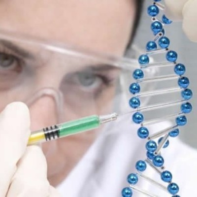 Timeline: Comision Nacional de Bioetica