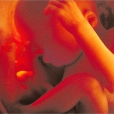 Timeline: Principales etapas históricas en el estudio del Desarrollo Embrionario